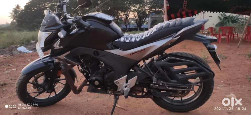 Honda hornet