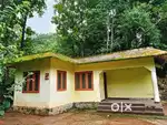 House with land
