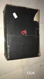 Projector egate