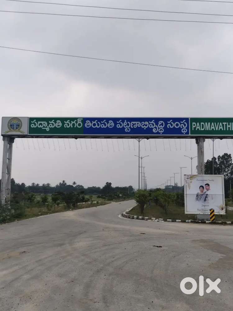 36x60 East facing, తూకివాకం 150 feet రోడ్ దగ్గరలో, ఇల్లు కట్టుకోవచ్చు