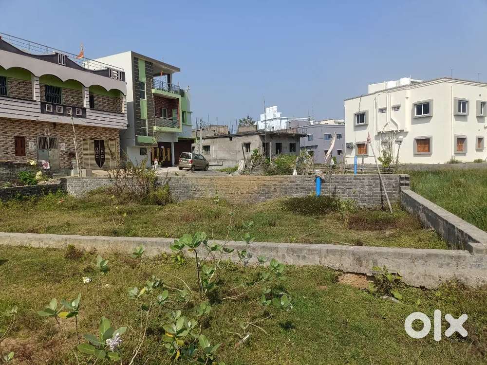 Gharabari plot, Conner point polt