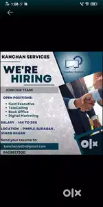 Telecaller / Field Executive