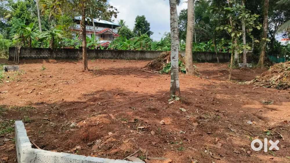 തെങ്ങണാ 9 cent house plot.4.25 .lakh.