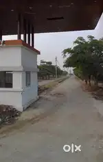 Infocity bypaas near emerald school indore