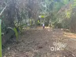 6.5 cent Residential plot in Edakkad, Puthiyangadi. Near main road.