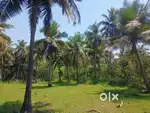7 Acres of Agriculture Land For Sale