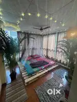 Aesthetic bed