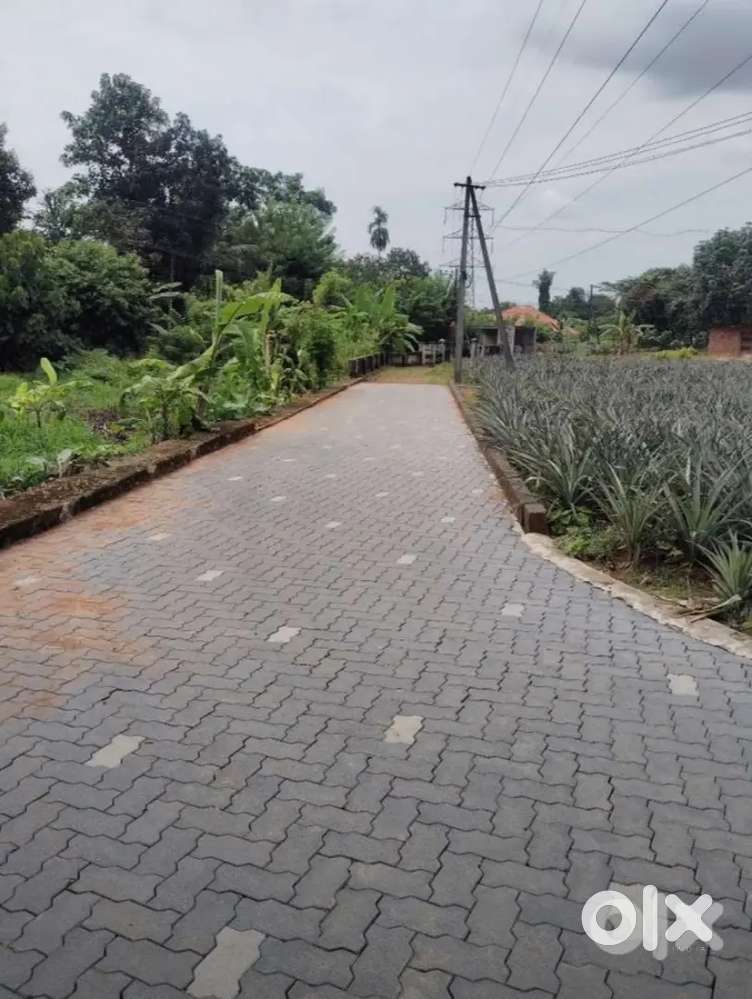 FOR SALE: 94 Cents Land with House – Pazhamthottam–Kolencherry Route