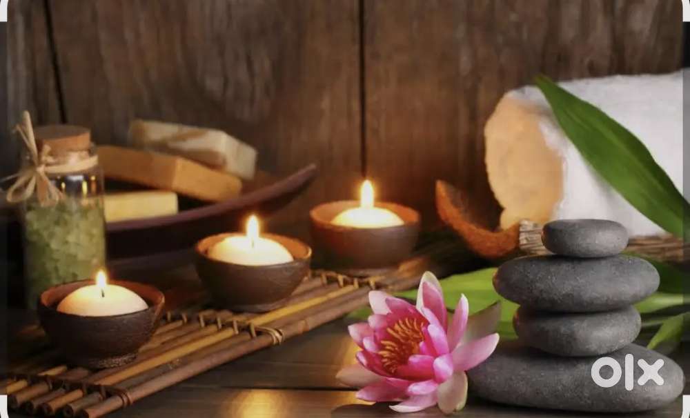 Wanted female spa therapist freshers can apply