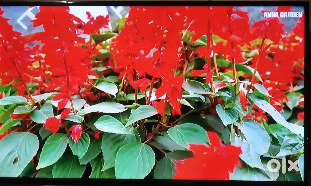 Samsung 40led TV very excellent condition for sale absolutely Good