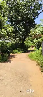 30 Cent land at PANTHEERANKAVE