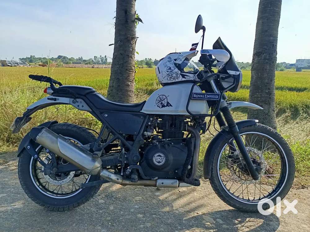 Himalayan 411 (SNOW WHITE)