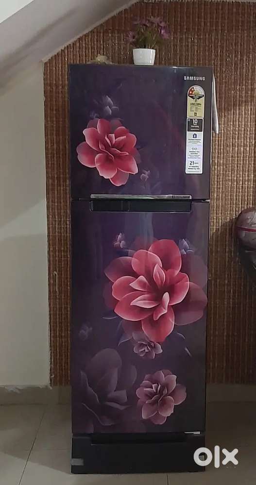 Refrigerator for Sale