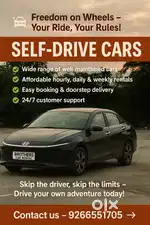 Self Drive Cars