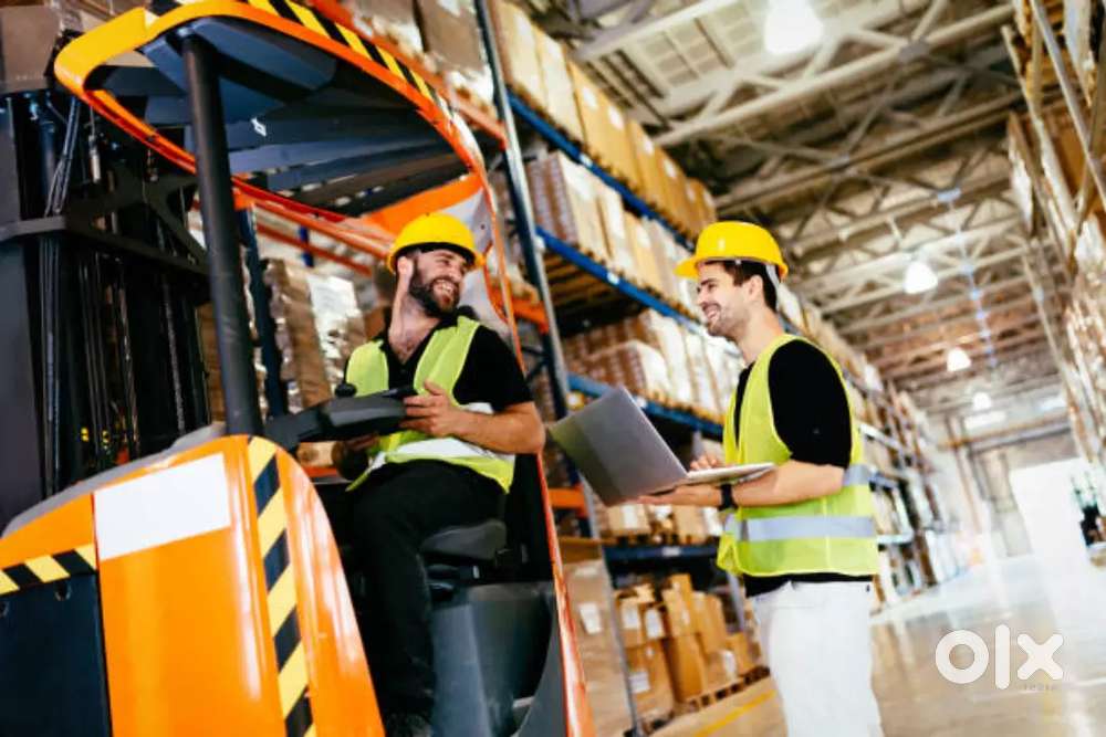 We are placing freshers for the warehouse