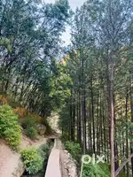 Land near patnitop