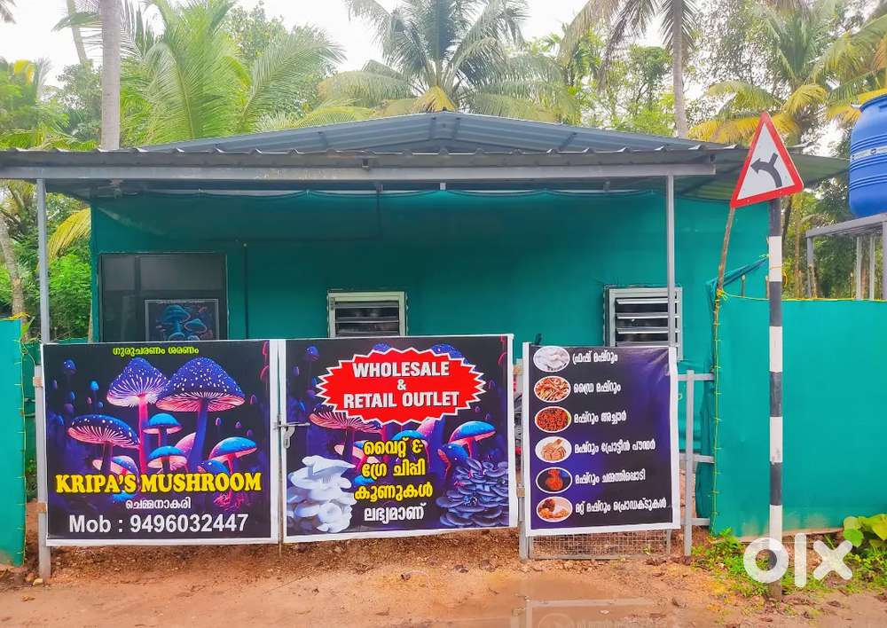 Mushroom distribution to alloted shops , super market and hypermarket