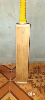 English Willow cricket bat sg brand