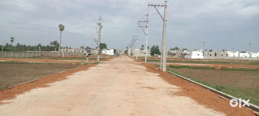 Plot for sale Allipuram (Gudipallipadu) Ready to construct all develop