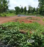 Land for sale near Kolenchery In Kadayiruppu.
