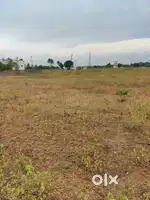 Empty land for sale