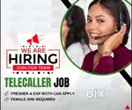 WANTED FEMALE TEAM LEADER AND TELE CALLERS. EXPERIENCED & FRESHERS