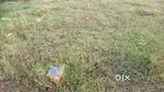 A Plot for sale at very cheap price