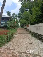 Kuttamassery thottmughom