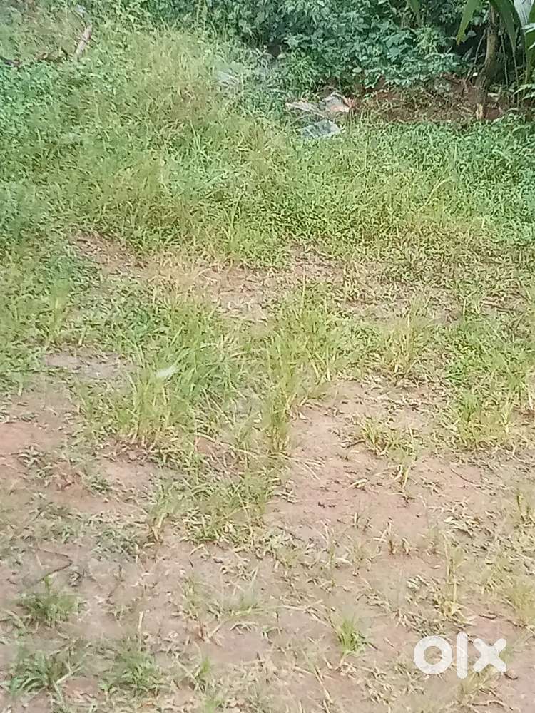 നെട്ടയം ജംഗ്ഷനിൽ നിന്നും 500 മീറ്റർ അകലെ 10 സെൻ്റ് വസ്തുവിൽപ്പനയ്ക്ക്