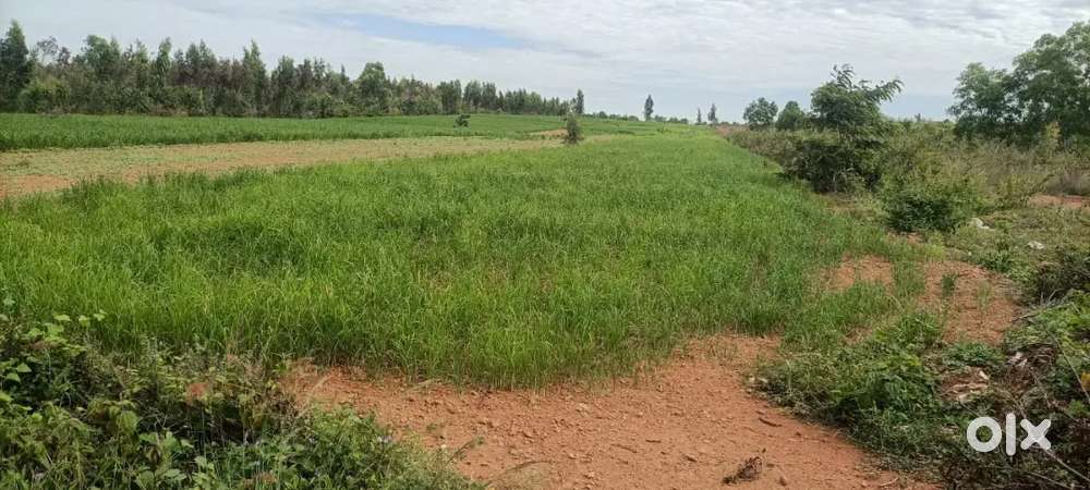 Nava Bengaluru society