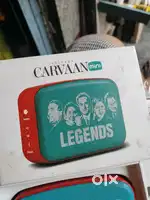 Saregama small size