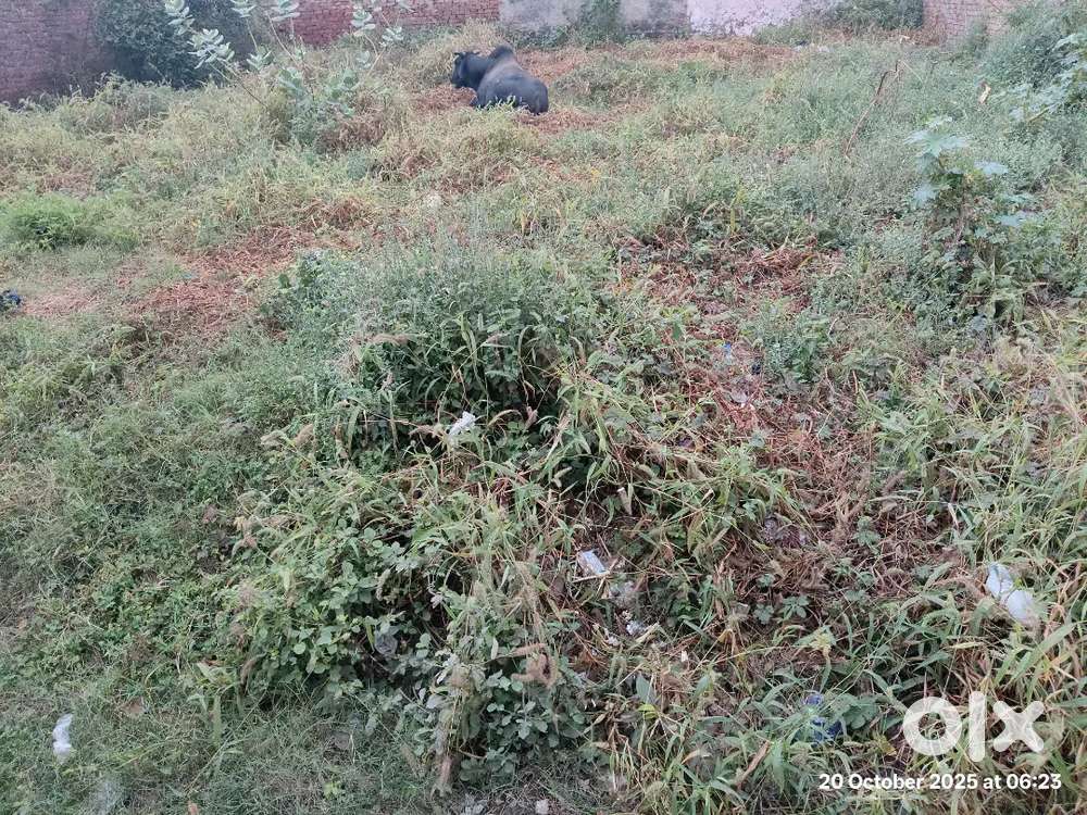 agriculture land kharidni h near Hathras