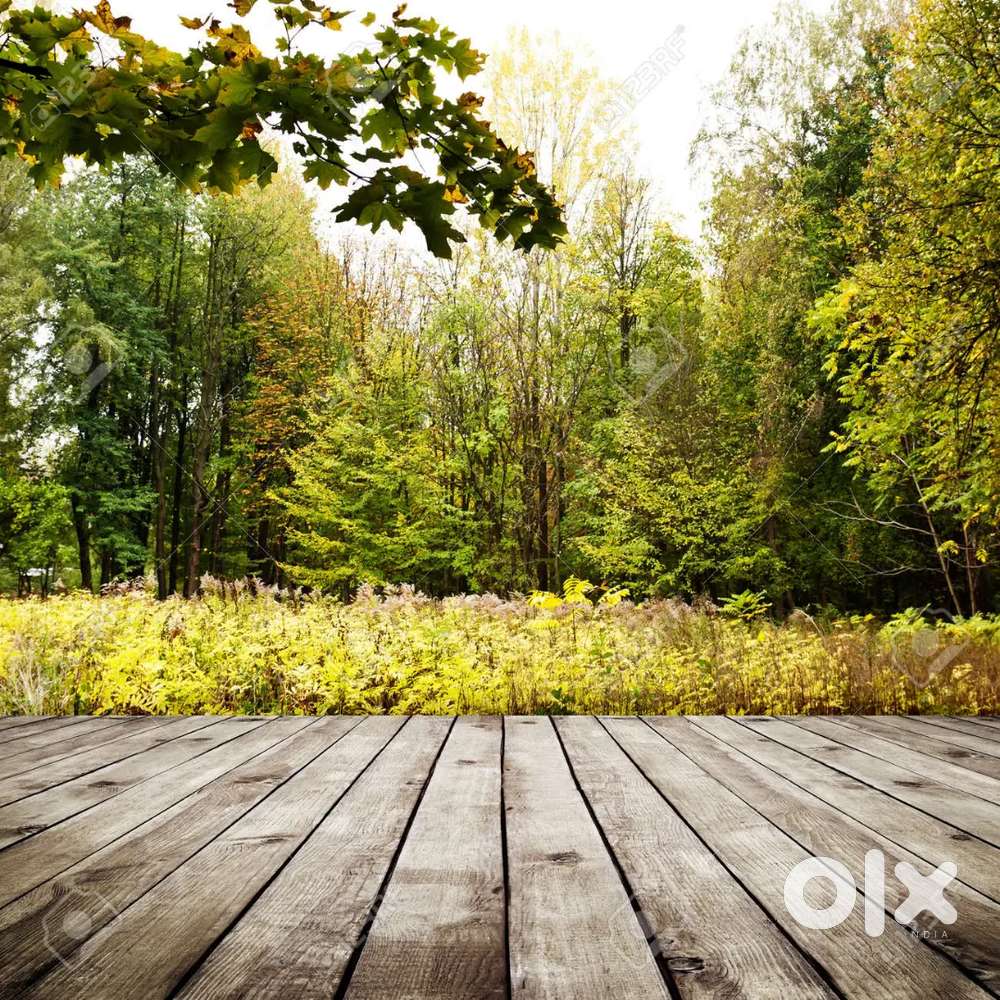 Need a single room ...moumachi r kache ase pase single room vara chai