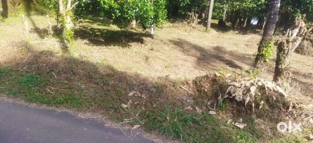 8 cent land for sale in chalode town