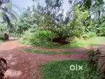 Civil Station Near 10 Cent House Plot