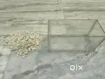 Fish Tank + Stones