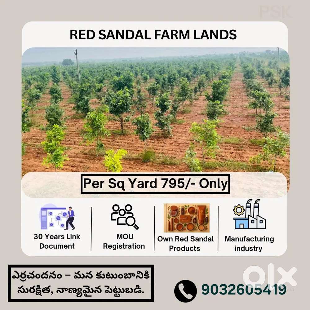 Red Sandal Farm Lands for sale