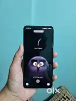 S21 FE 5G SNAPDRAGON 888 MODEL