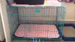 Pet cage for sale