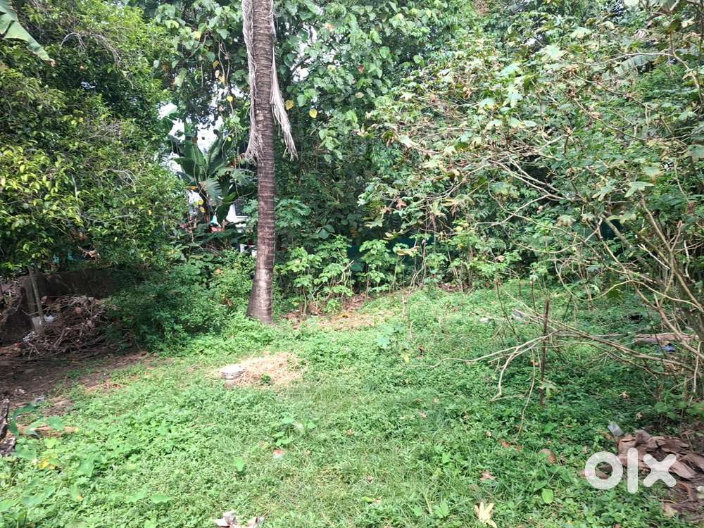 6 Cent House plot for sale near West Kadungaloor, Aluva