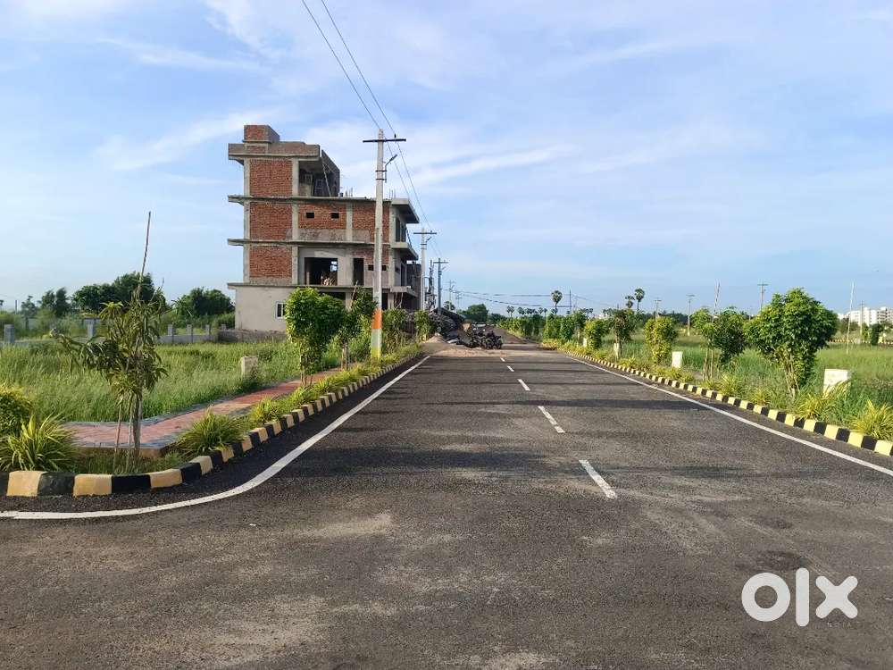 Low Budget Project at a Vijayawada - Machilapatnam Highway Face