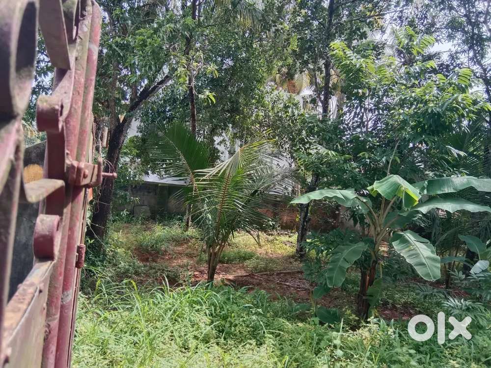 40 cent plot for sale in KAZHAKOOTAM