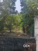 10 cent in Azhiyur Kallamala