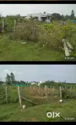 Poolangudy