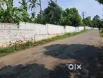 Angamaly mookkannoor 25 cent bus route frontage land for sale
