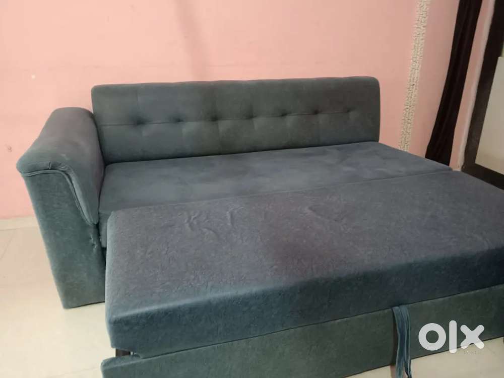 sofa cum bed