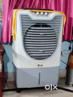 Cooler one year old