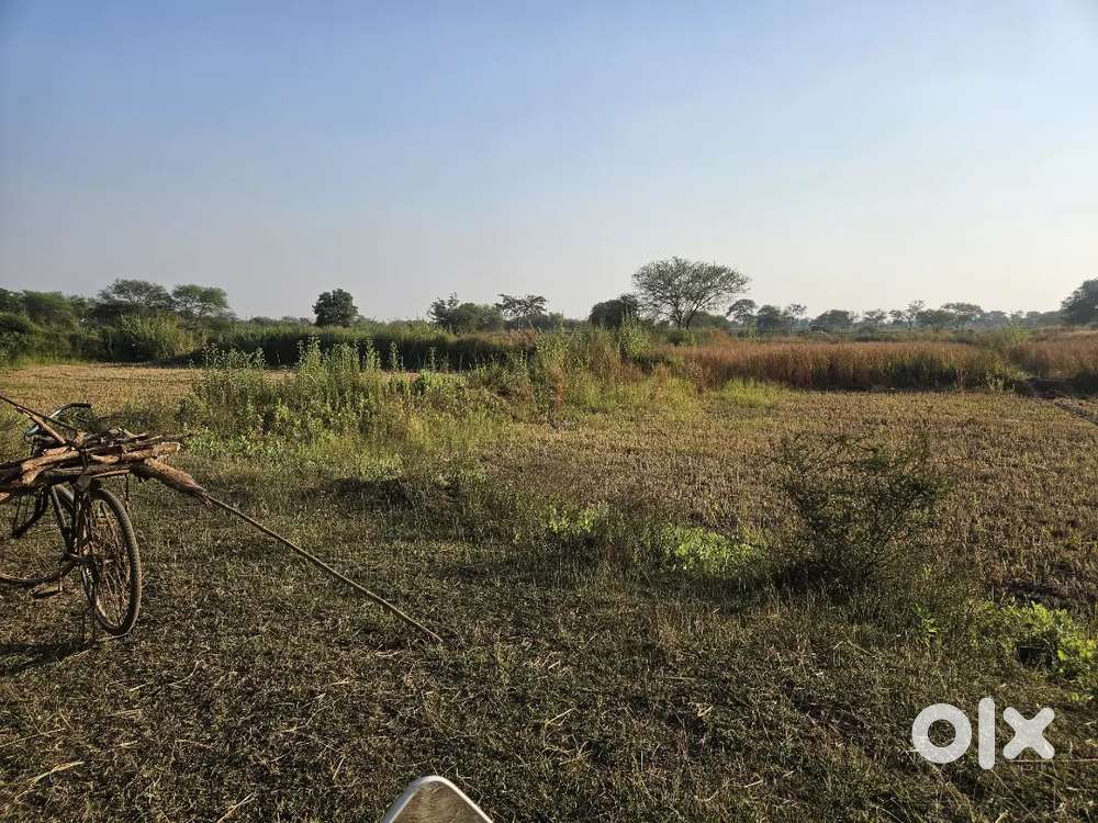 दुर्ग से 21 किलोमीटर , नगपुरा से 10 किलोमीटर उपपरवां गांव में फायदेमंद