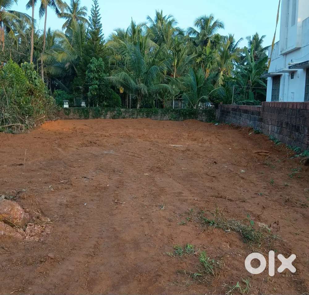 7, CENT PER CENT 17,0000