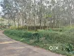 Plot for sale in Oyur